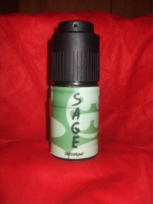 [Matt Wilson] (naruto) sage deodorant (pages 1-66) [color R.O.D.]