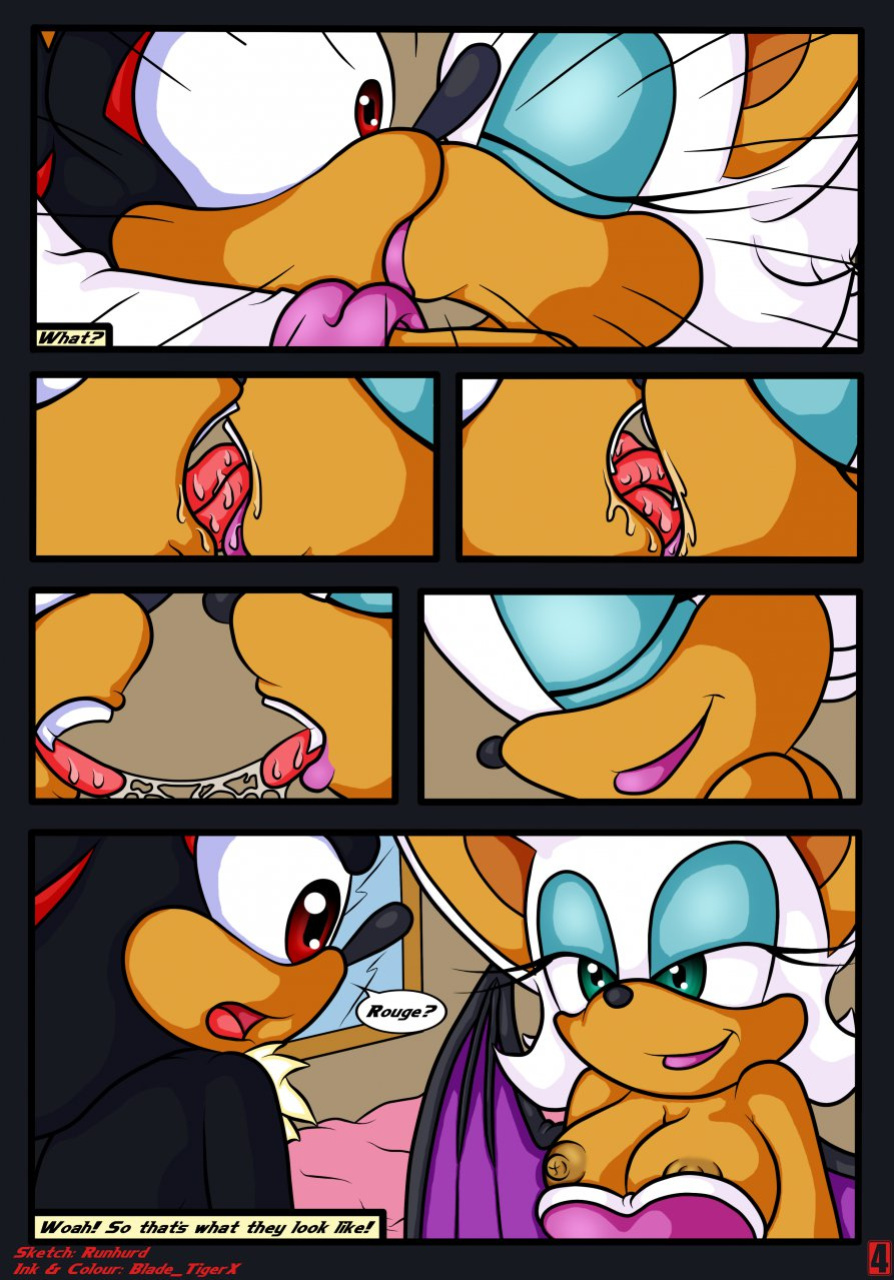 [Bladetigerx & Runhurd] Shadow of Love (Sonic The Hedgehog)
