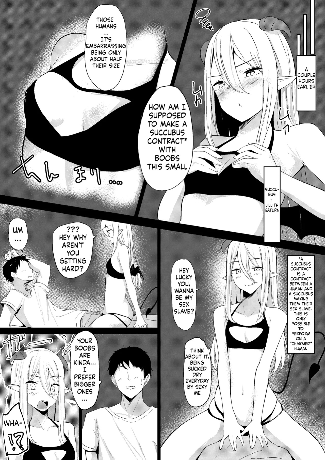 [Shura no Koubou (Shura)] Succubus Lily[ushirotranslations]