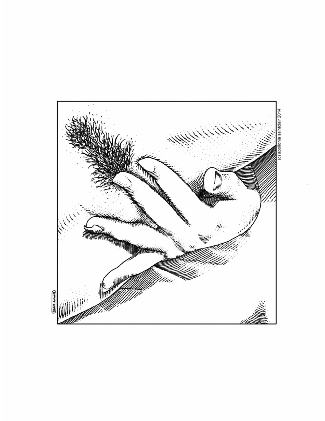Erotique- Apollonia Saintclair