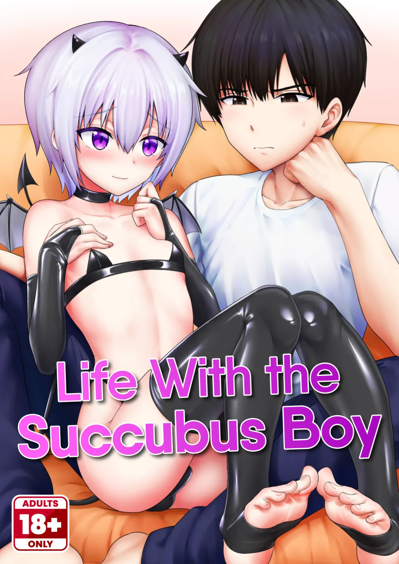 Life With the Succubus Boy