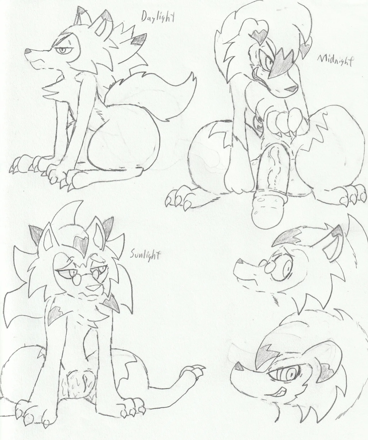 [FoolyFox] Pokemon Team