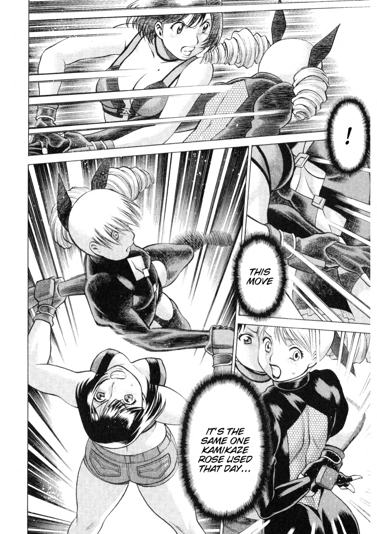 Rumble Roses Anthology (Tigoris Translates)