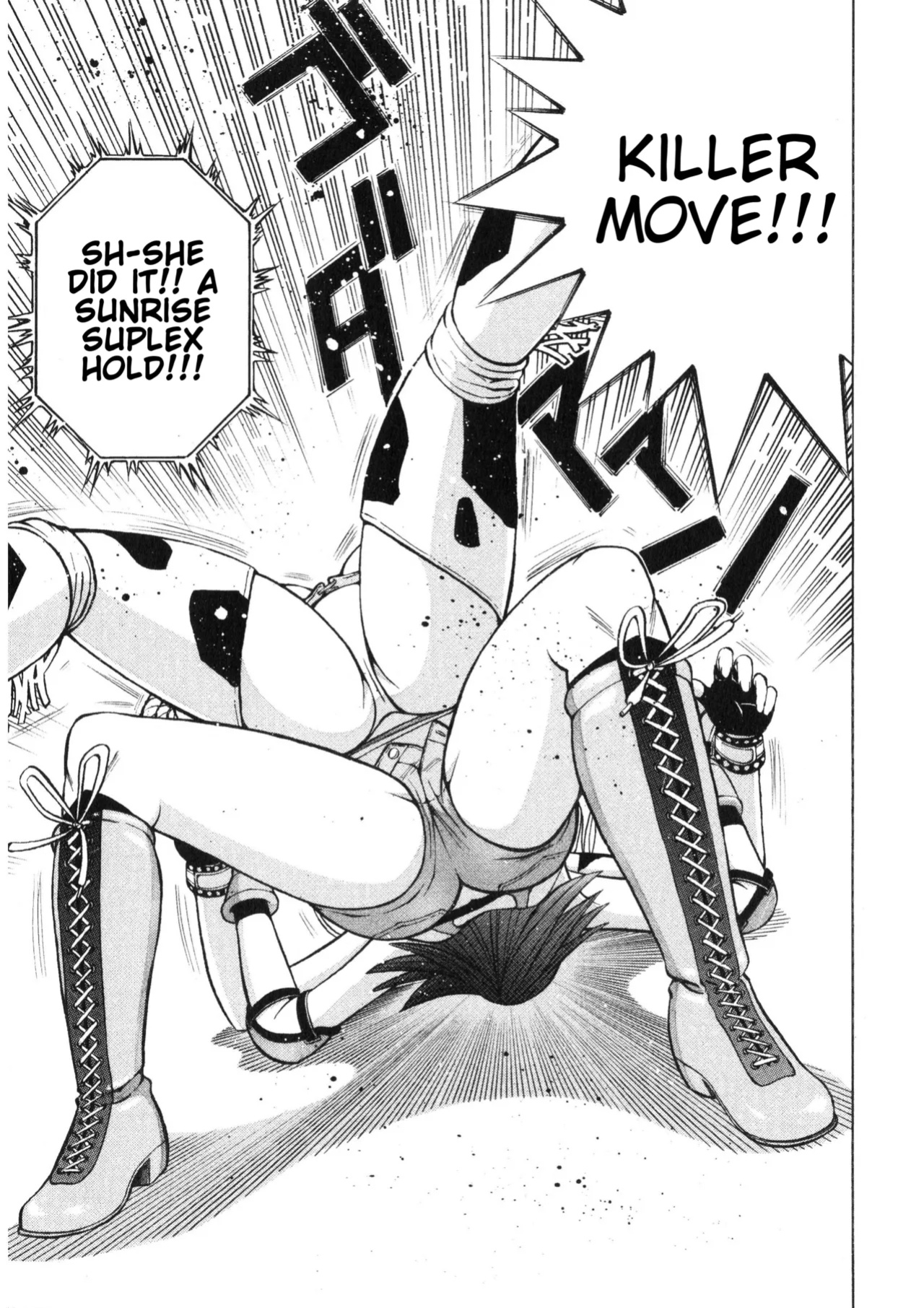 Rumble Roses Anthology (Tigoris Translates)