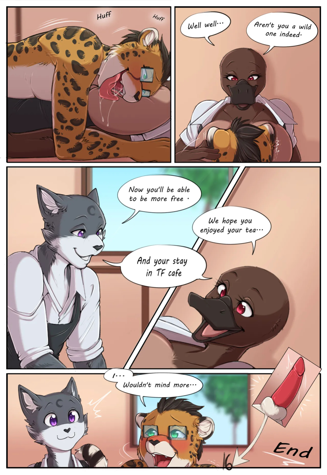 TF: Cafe 4