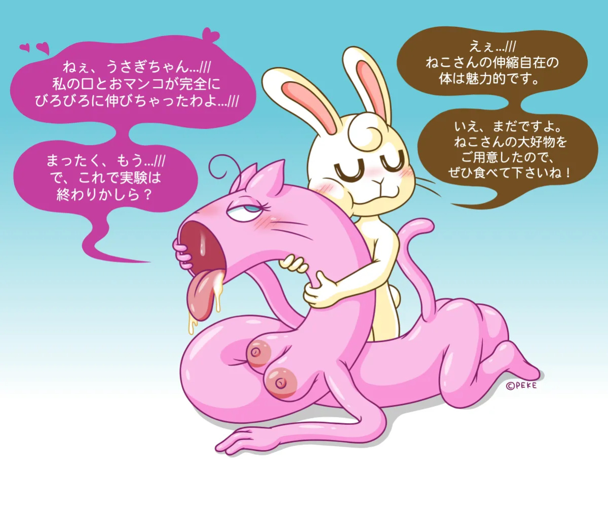 [Pekepeke (Peke)] Elastic Cat