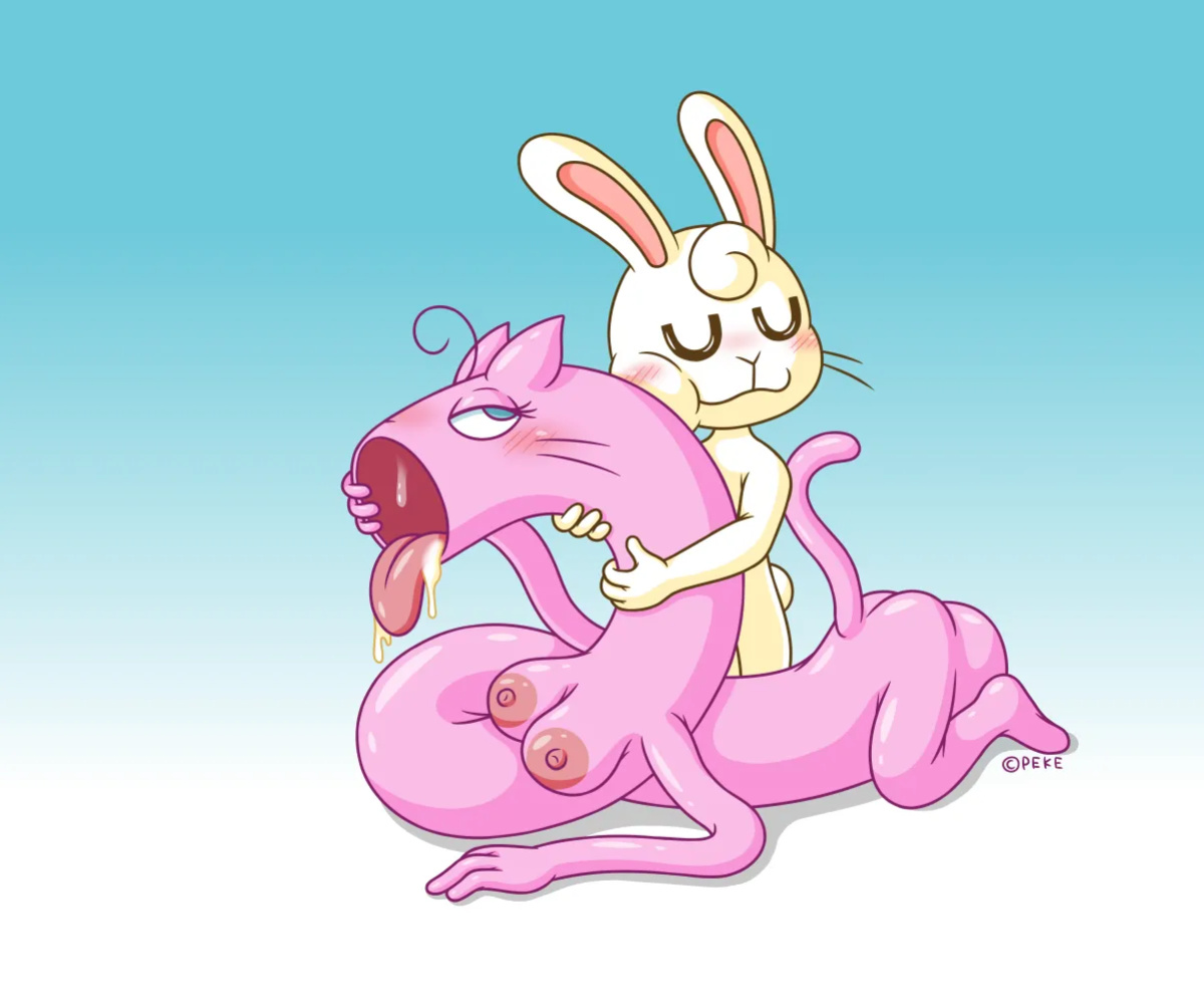 [Pekepeke (Peke)] Elastic Cat