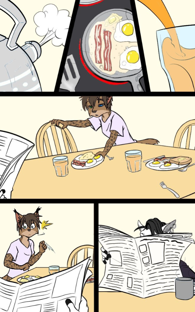 black kitten - Mornings -color