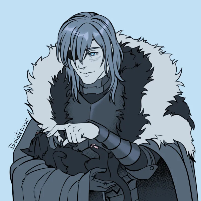 Boisteruse Fire Emblem (Paid not included)