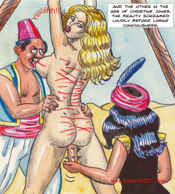 Aries BDSM, Torture Mix