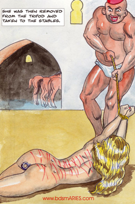 Aries BDSM, Torture Mix