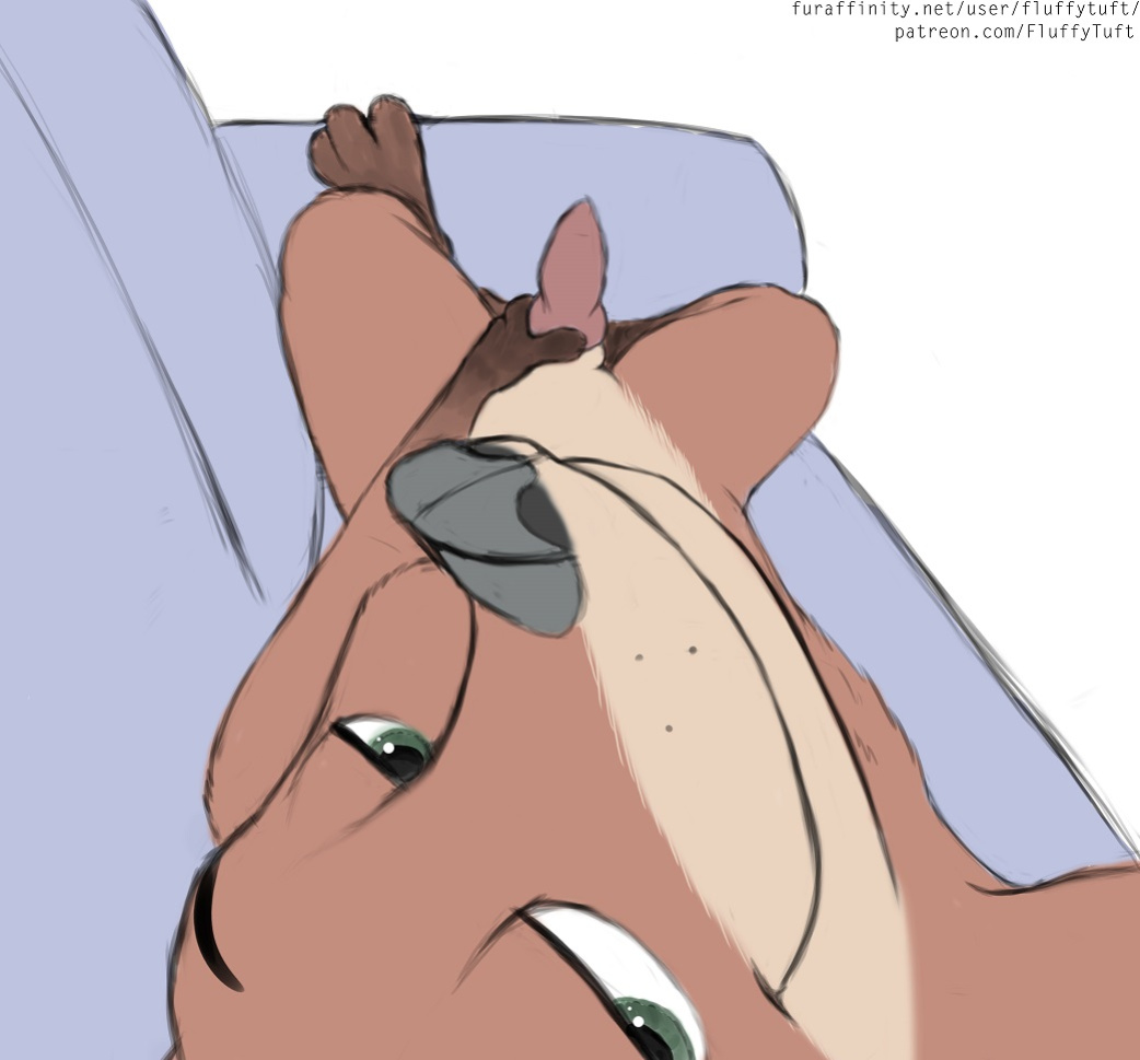 Artist - tuftbox
