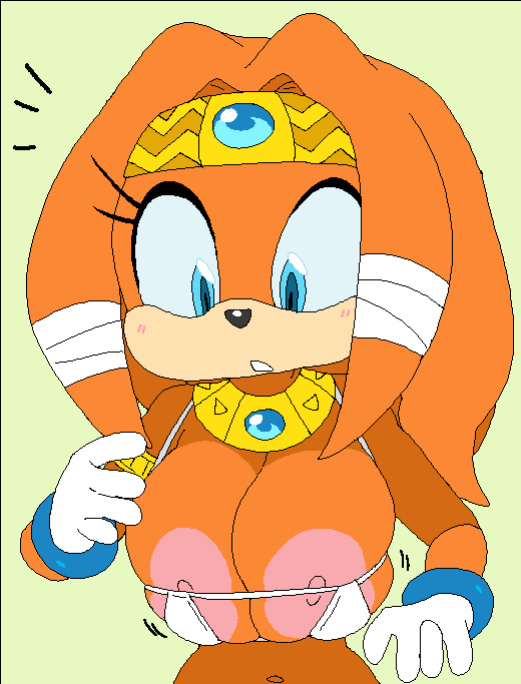 [Dream-Cassette] Tikal the Echidna (Sonic the Hedgehog)