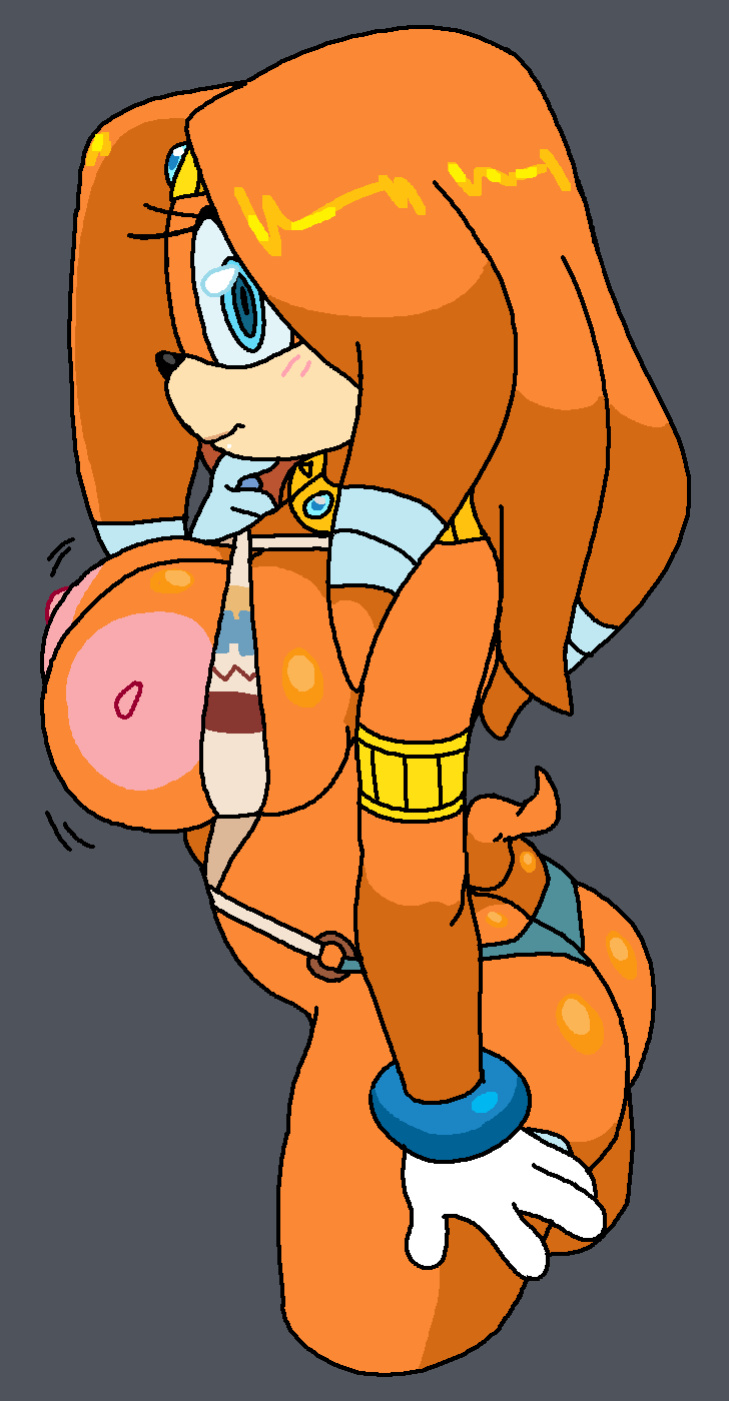 [Dream-Cassette] Tikal the Echidna (Sonic the Hedgehog)