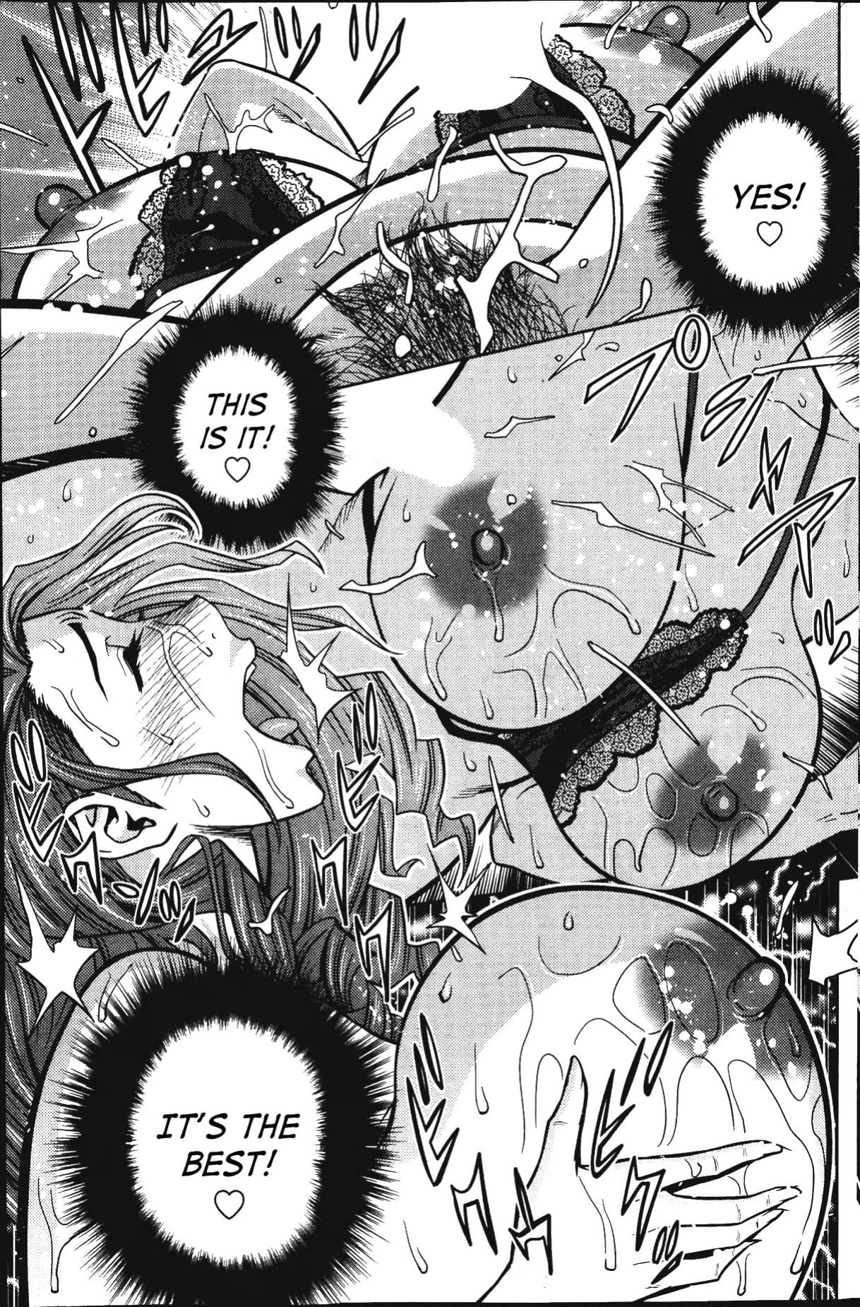 [Tatsunami Youtoku] Twin Milf [SaHa]