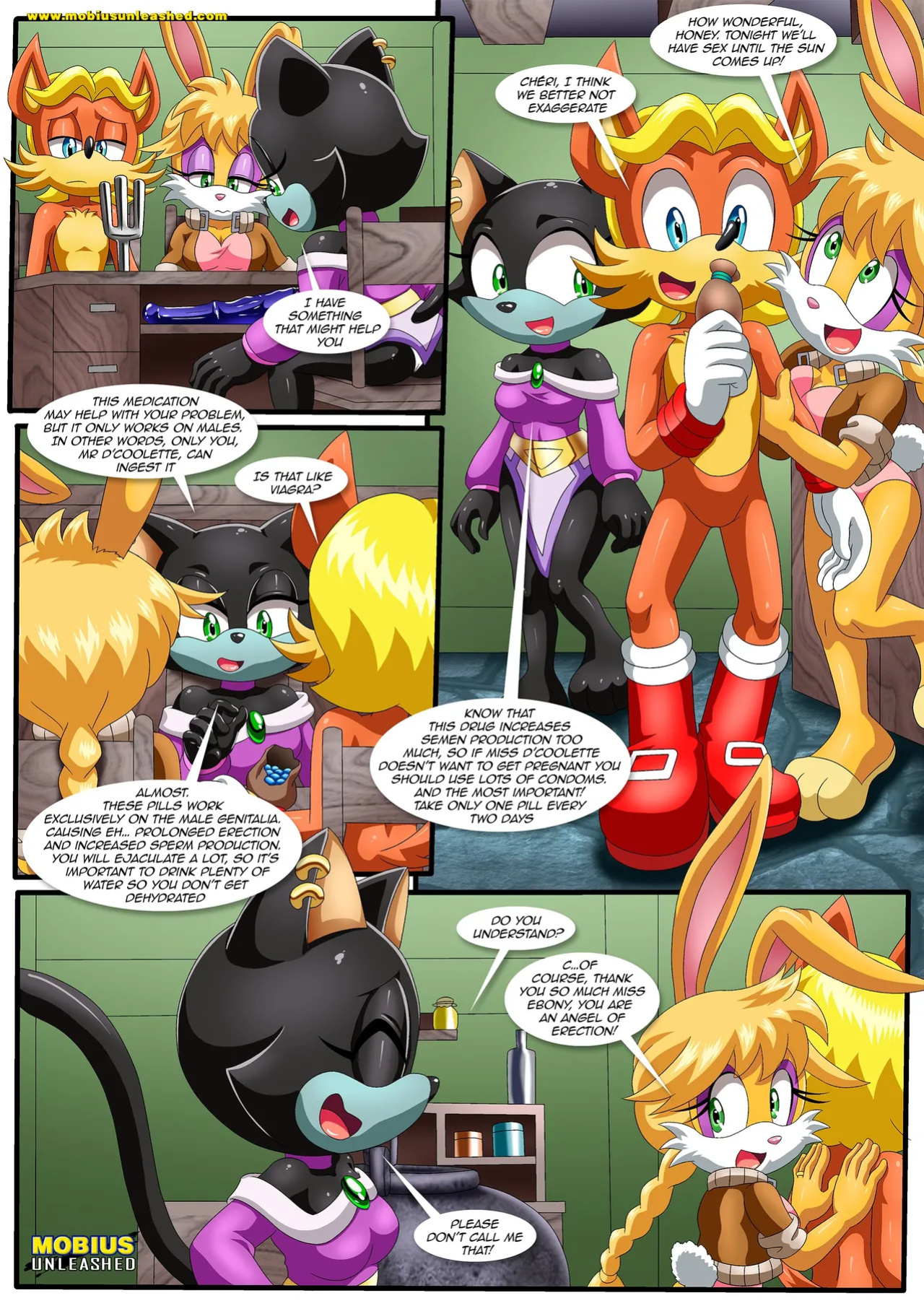 [Palcomix] How Many Times Per Day (Sonic The Hedgehog)