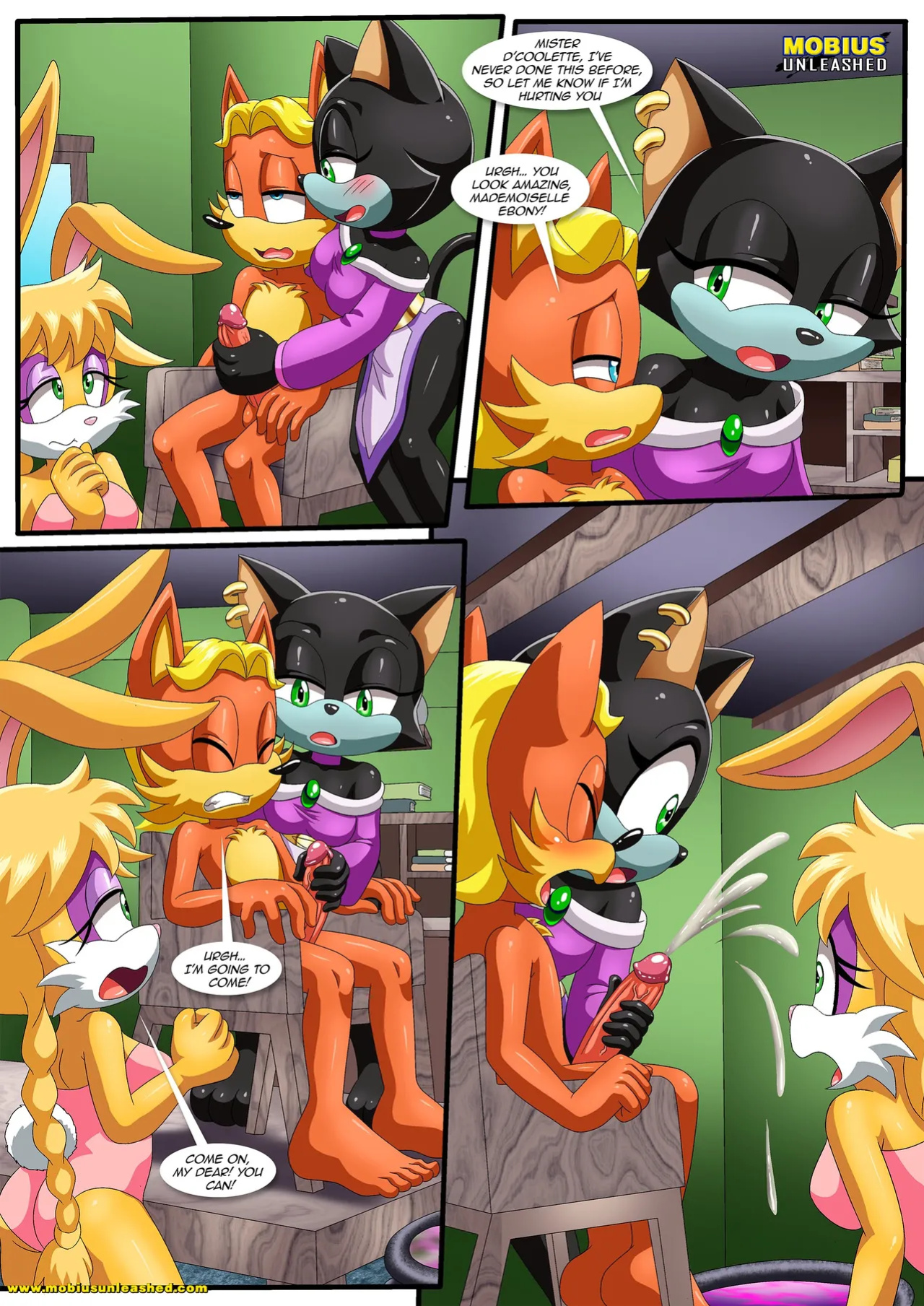 [Palcomix] How Many Times Per Day (Sonic The Hedgehog)