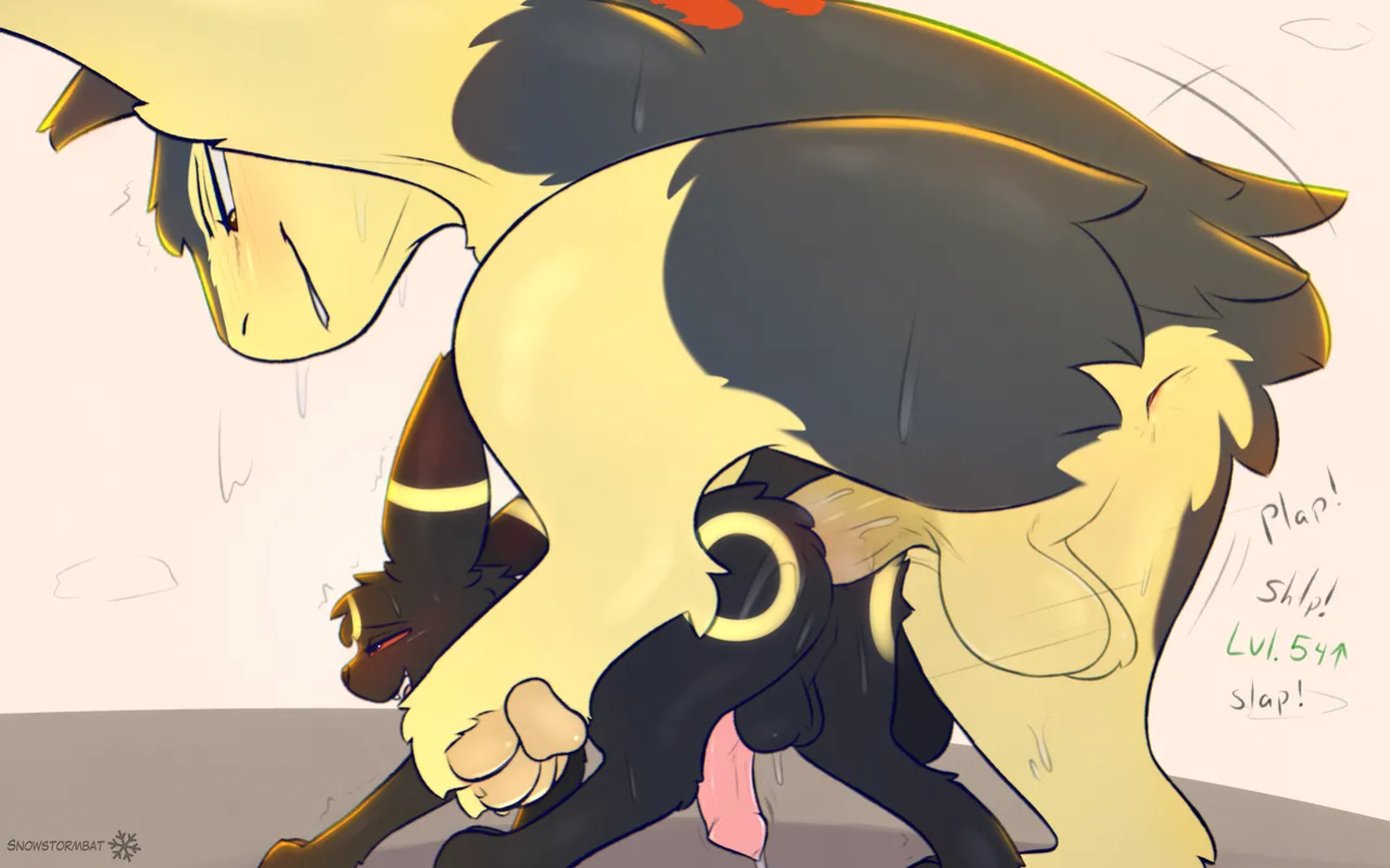 [SnowStormBat]Umbreon and Typhlosion