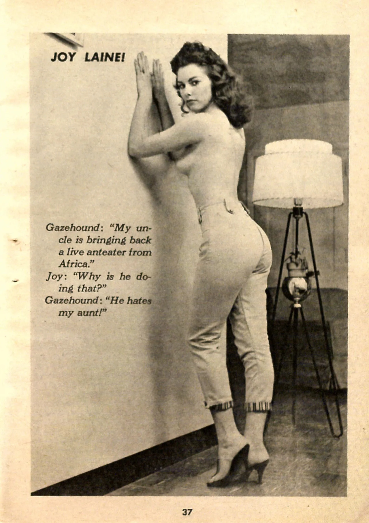 Gaze Nro 02 (1961)