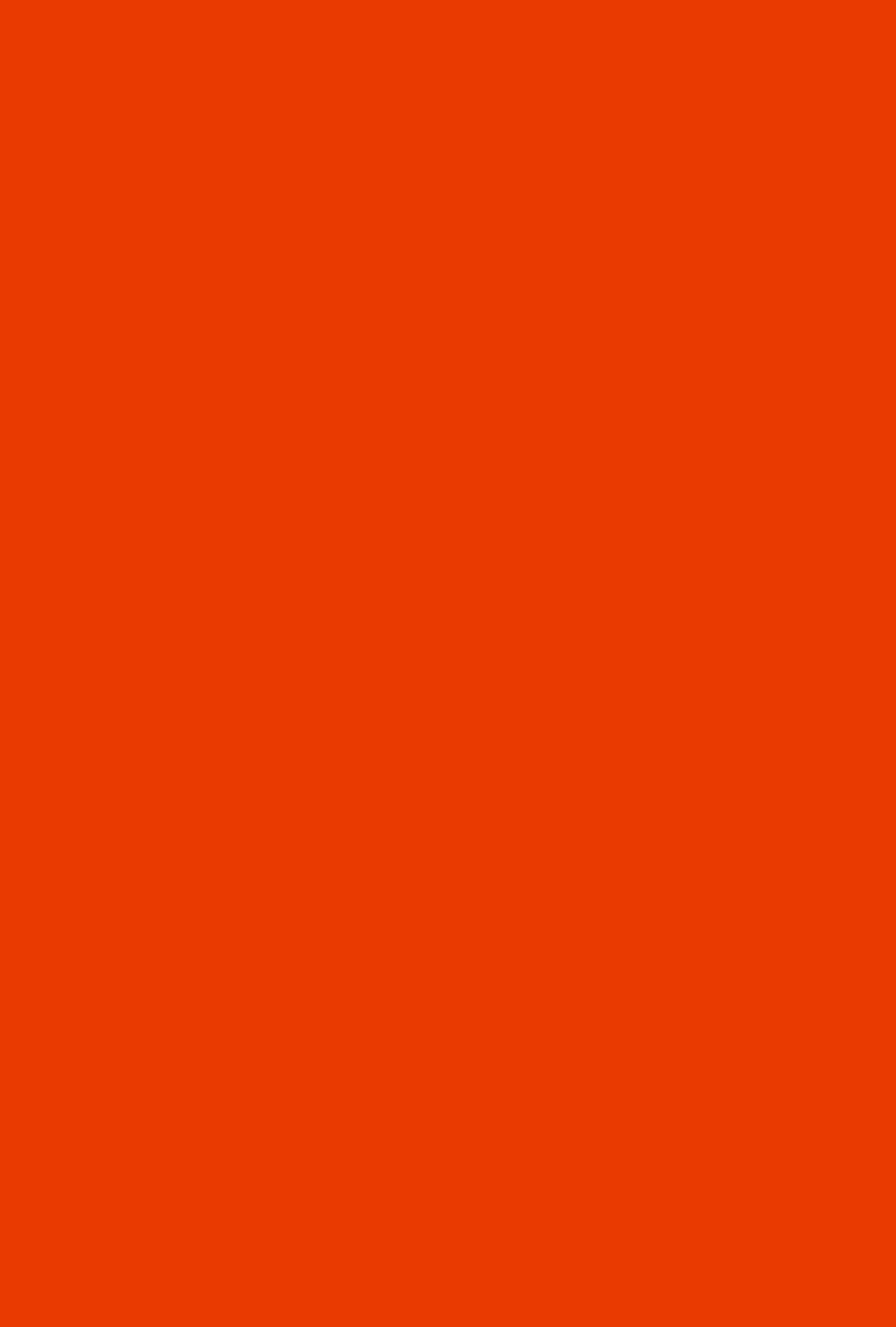 Dragonball Red Bottom 4 Color