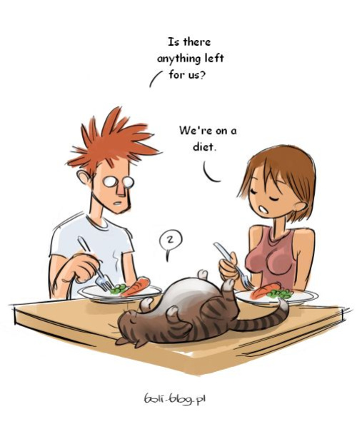 [Au] Boli Blog [Eng]