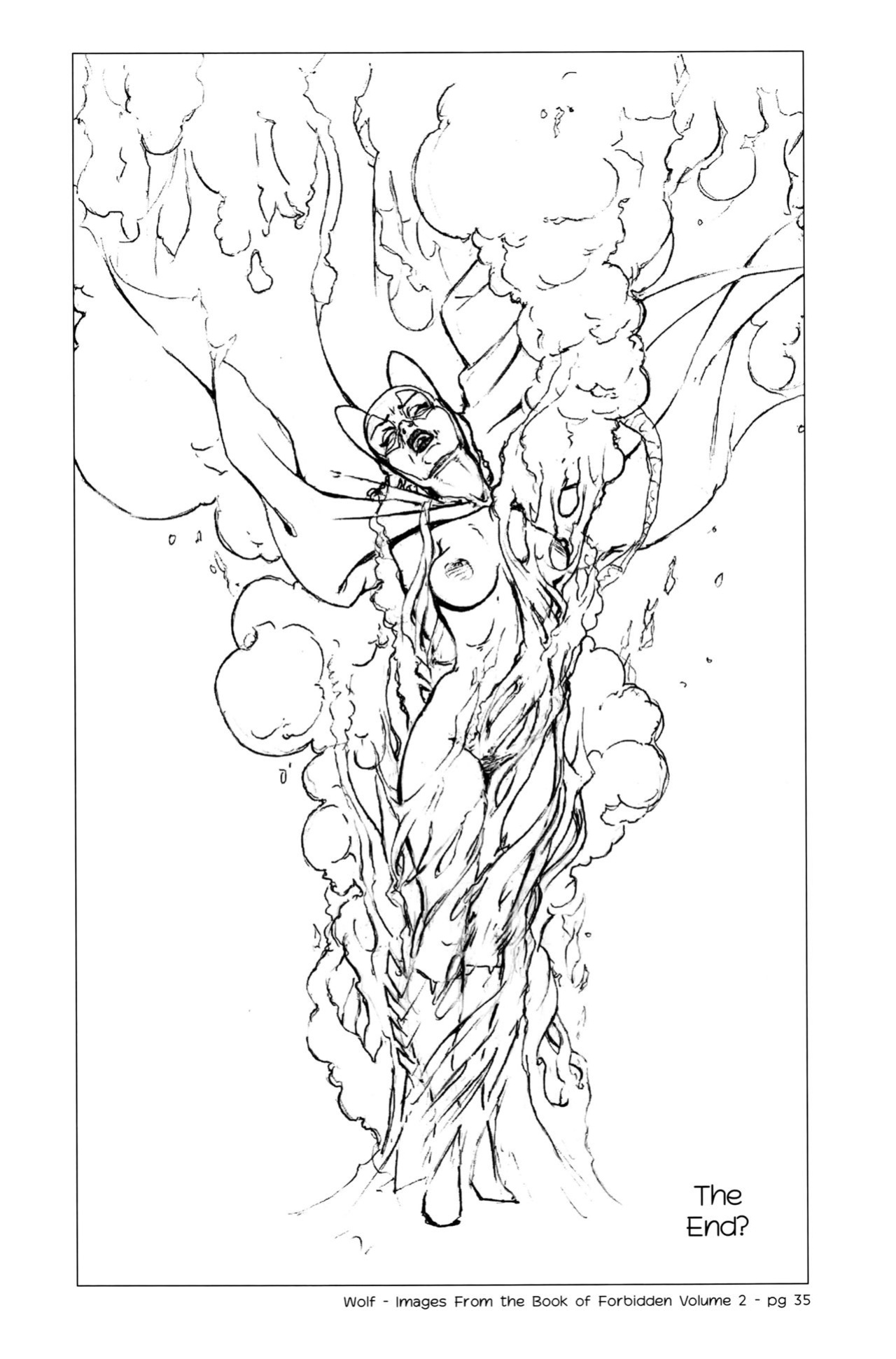 [Wolf] Wolf, More Images from the Book of Forbidden - Vol 2