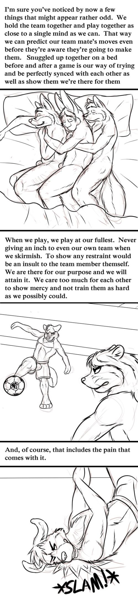 [Sunitai] Team Spirit
