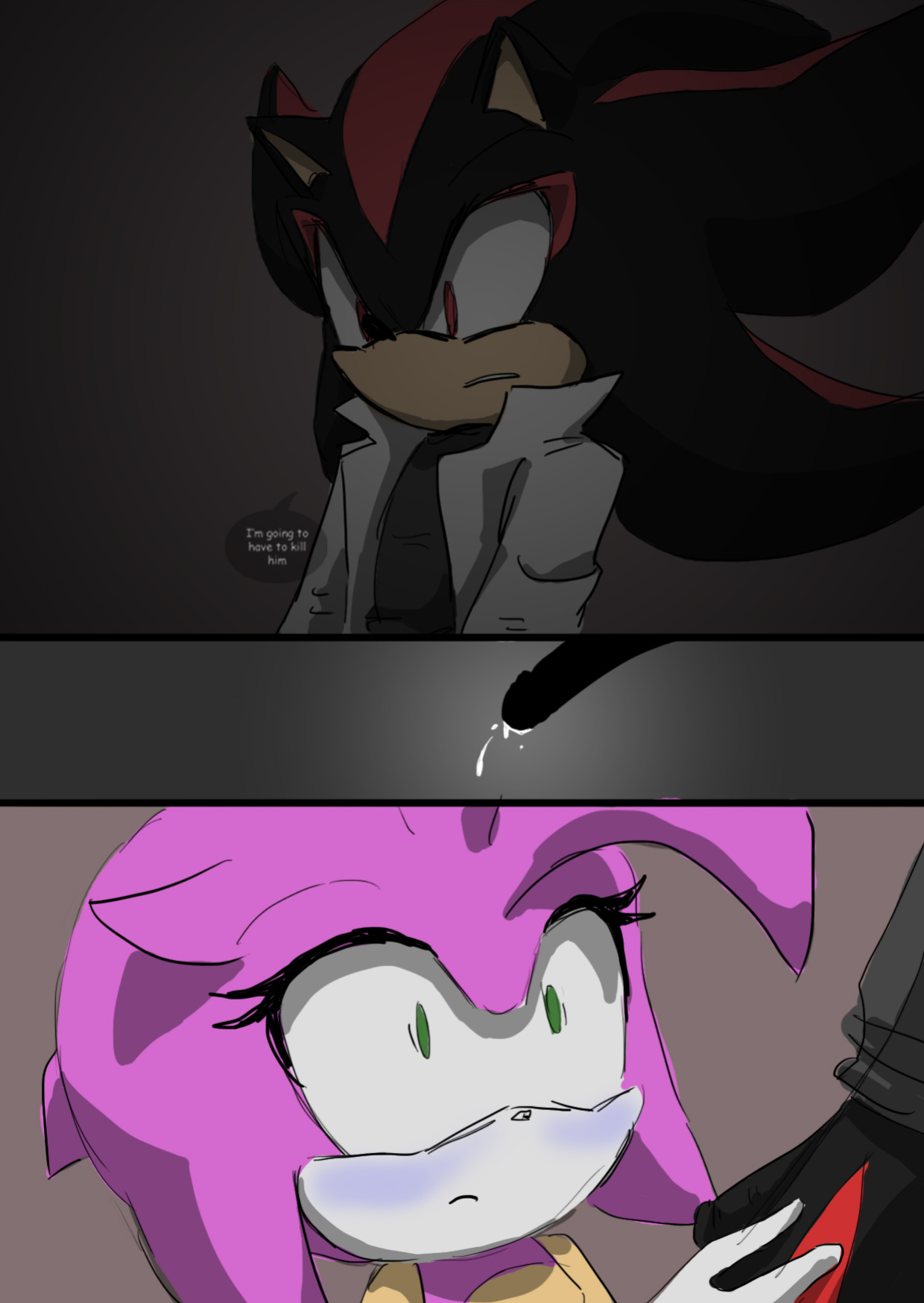 [SonicCake] Shadow's Stuff (Sonic the Hedgehog)