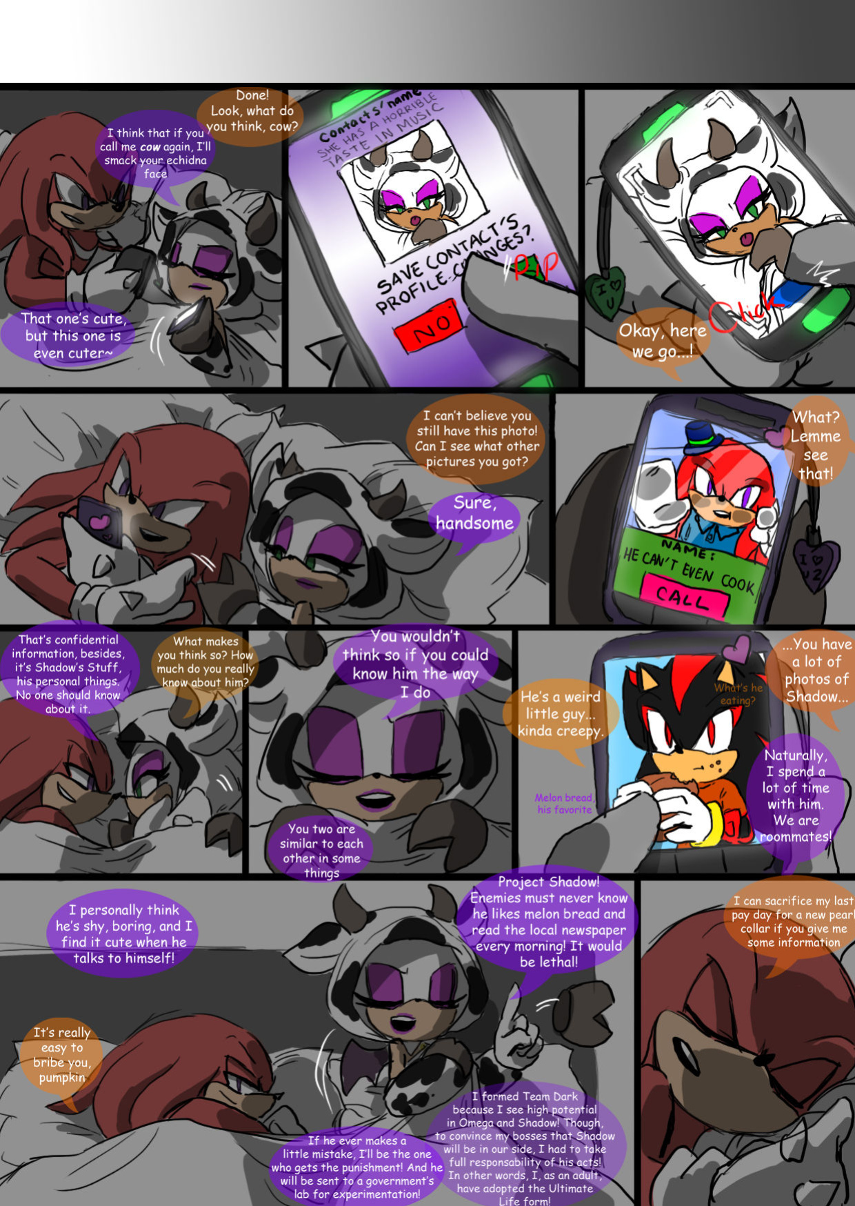[SonicCake] Shadow's Stuff (Sonic the Hedgehog)