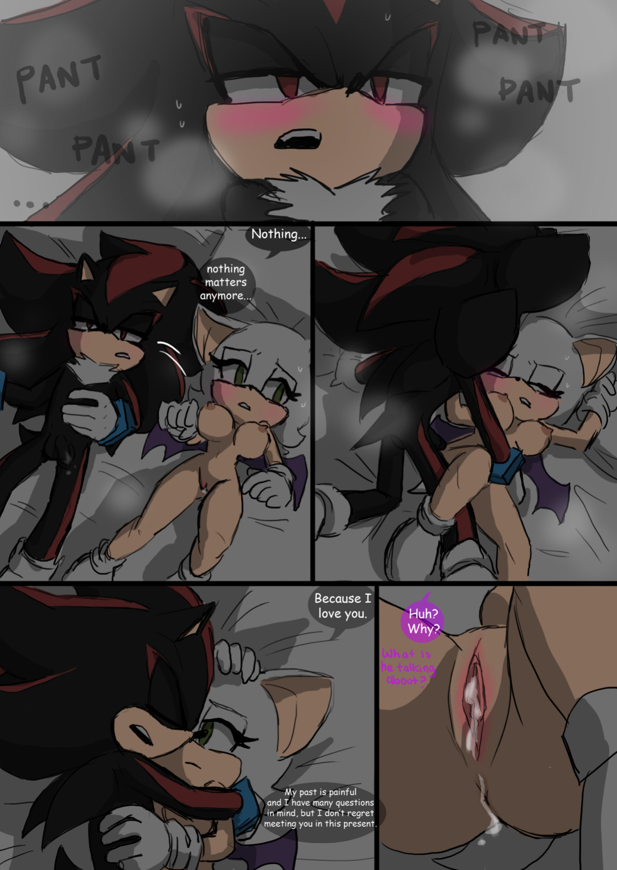 [SonicCake] Shadow's Stuff (Sonic the Hedgehog)