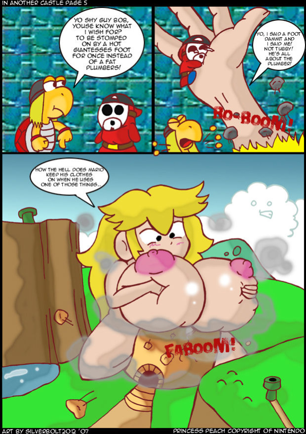[silverbolt2012] In Another Castle (Super Mario Bros.)
