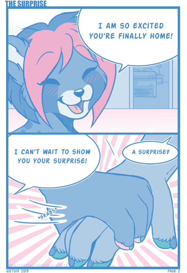 [Etuix] The Surprise