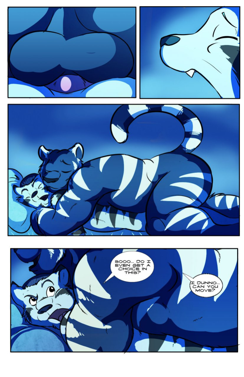 [Donryu] Morning Wood