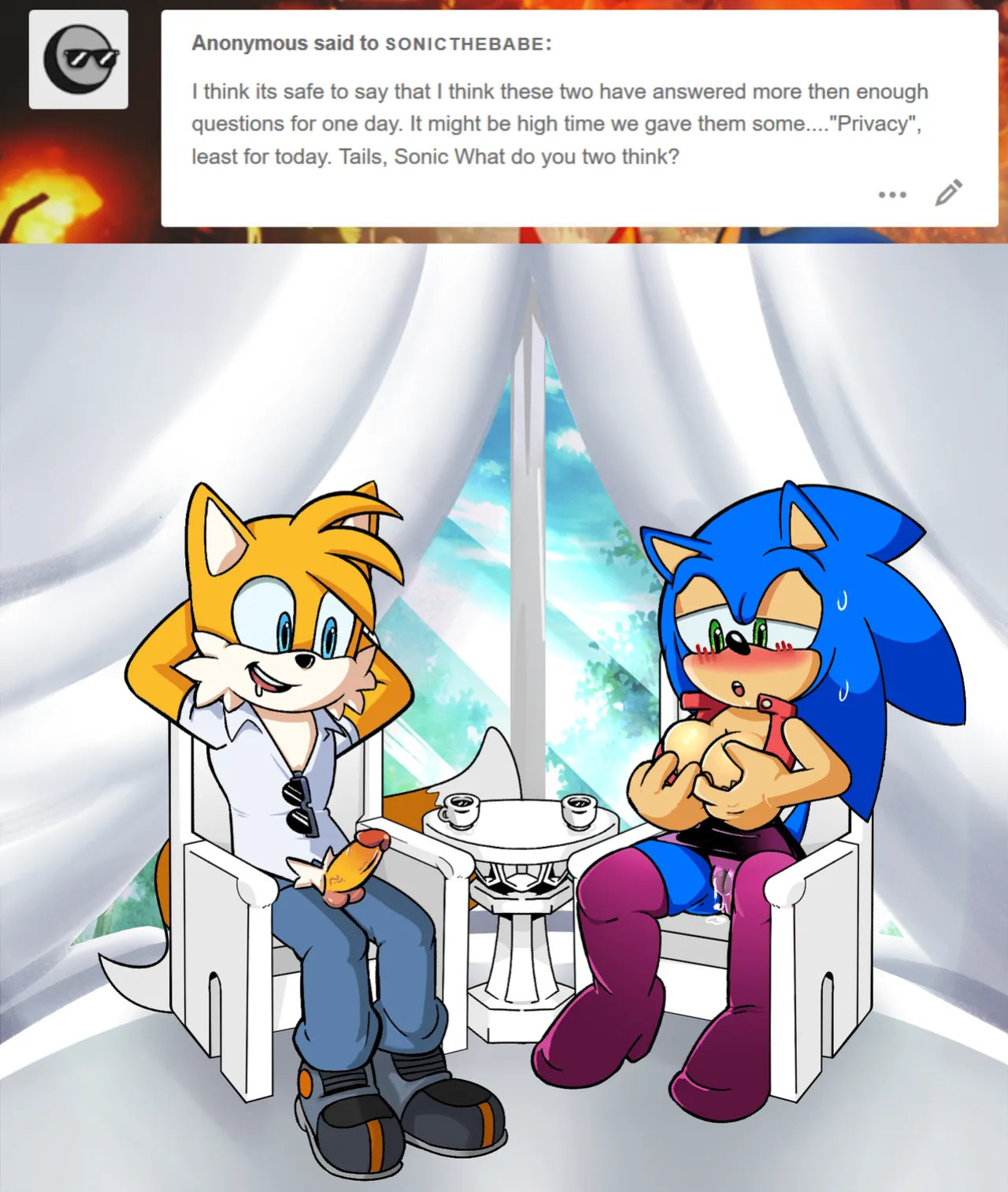 [Miss Phase] Ask Sonic the Babe and Tails