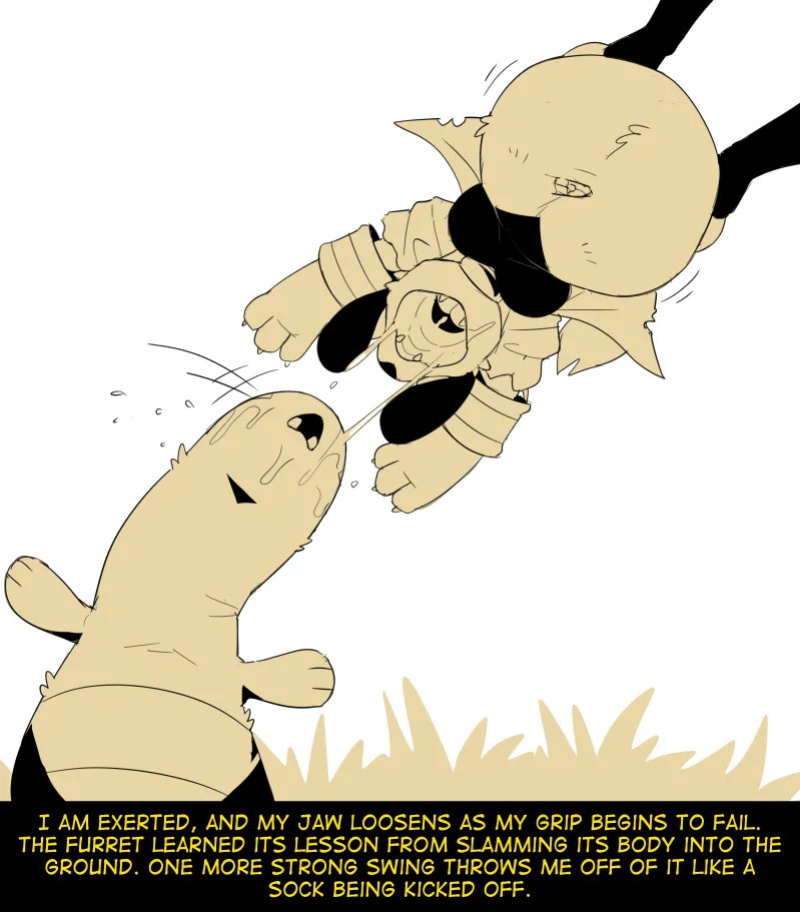 [Fidchell] Hildegard's Quest for Aura - Sentret/Furret (19)
