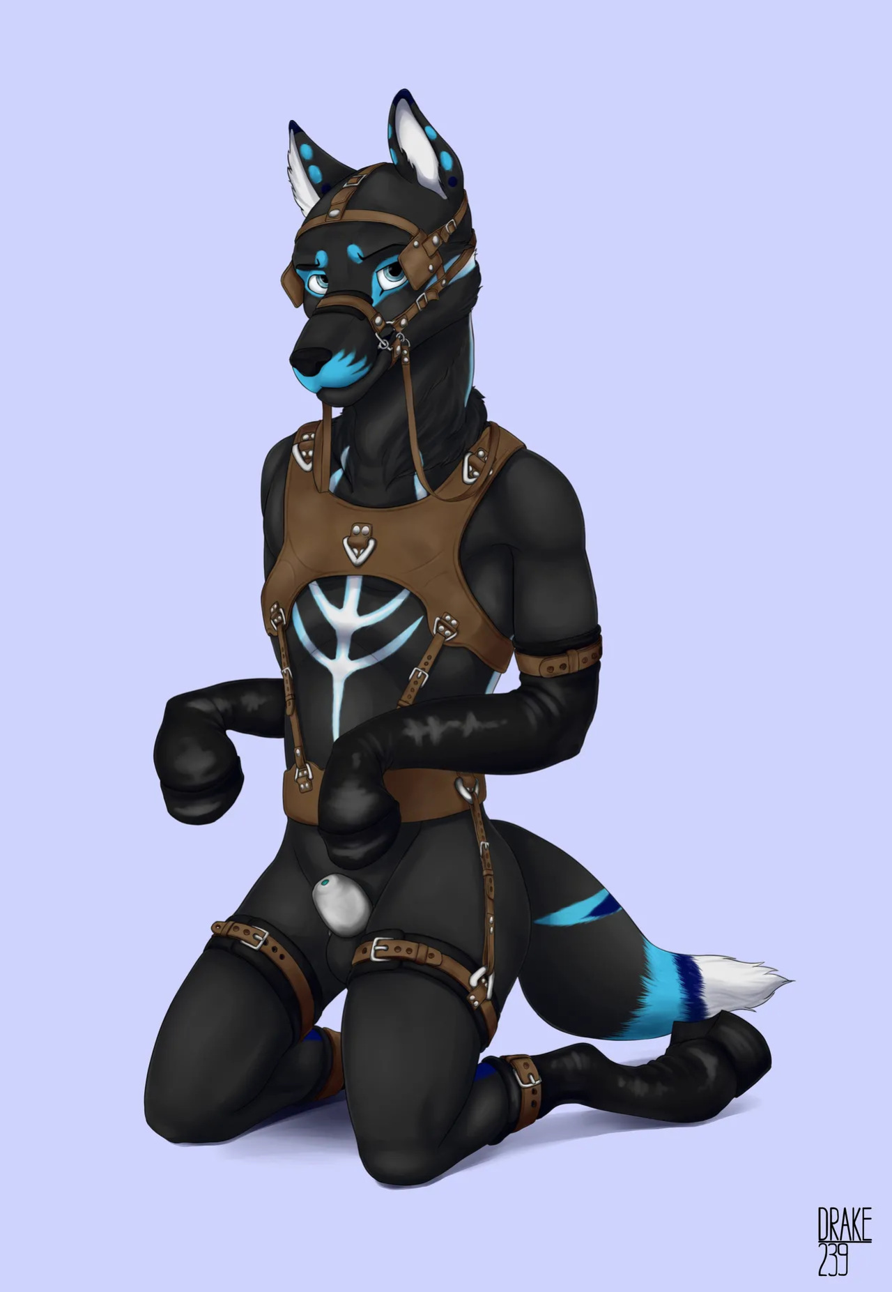 [Artist] Drake239