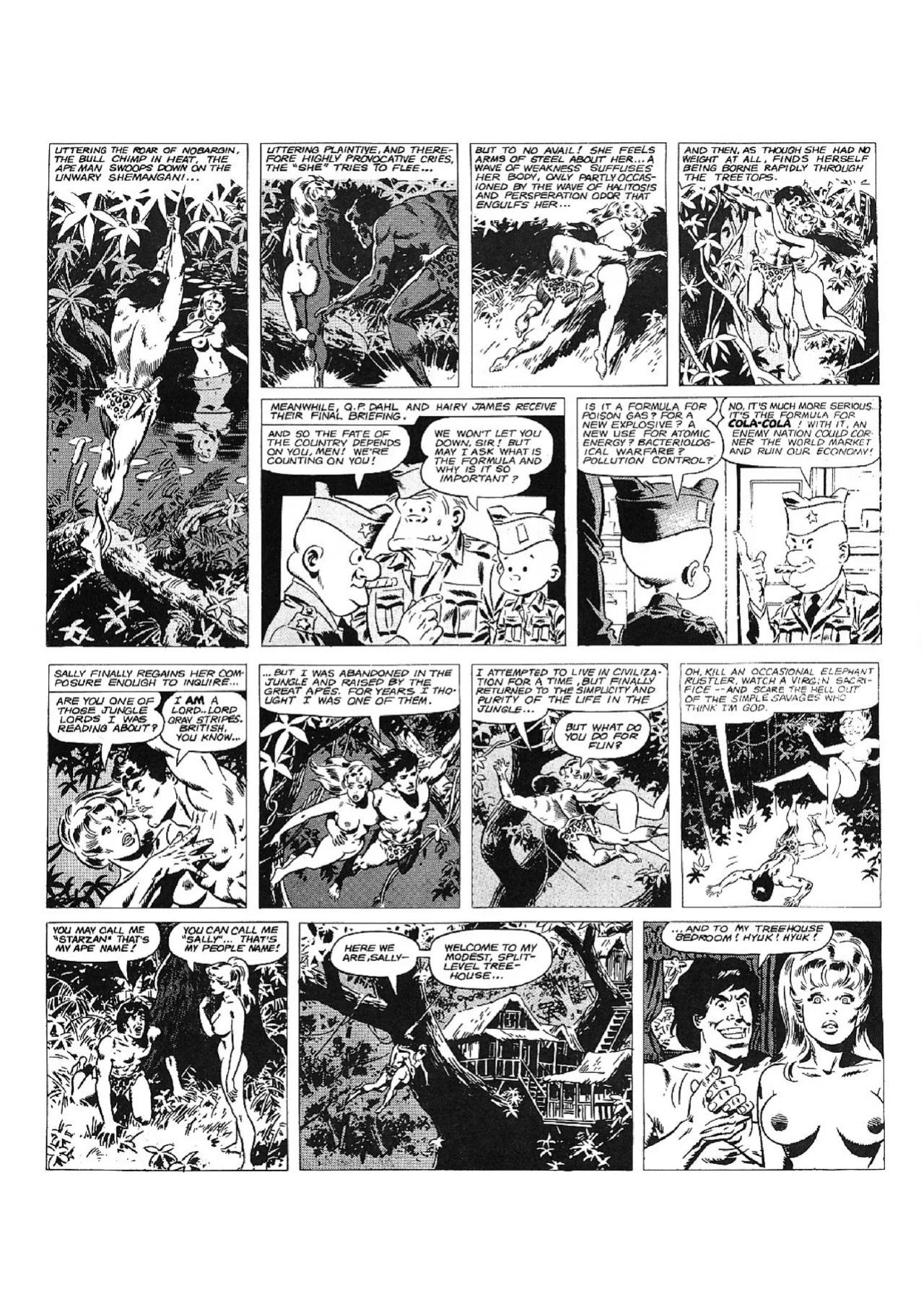 [Wallace Wood] The Complete Sally Forth [English]