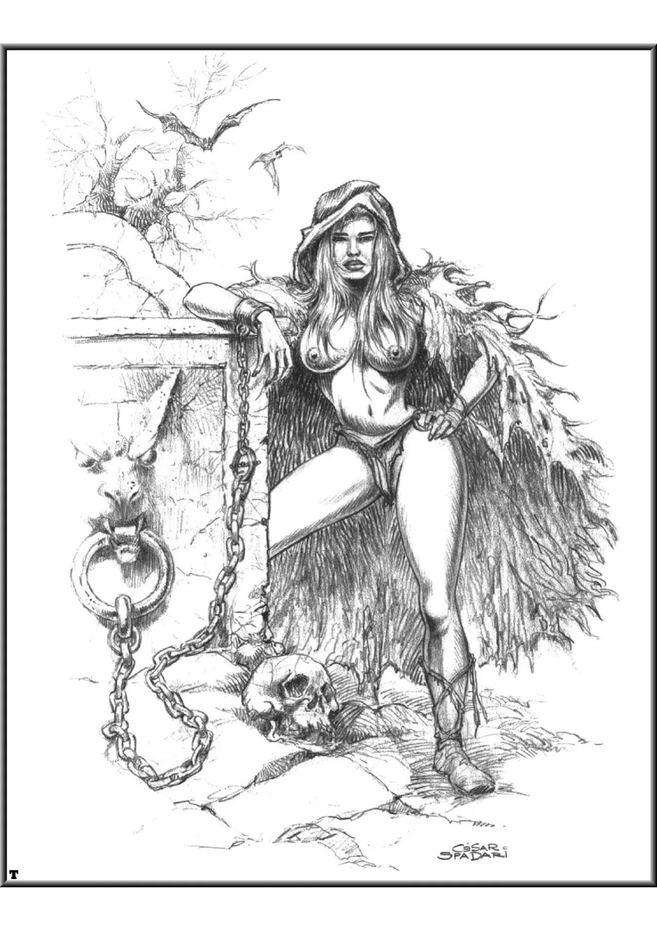 Daughters of Darkness 01 (A Gallery Girls Collection) [English]