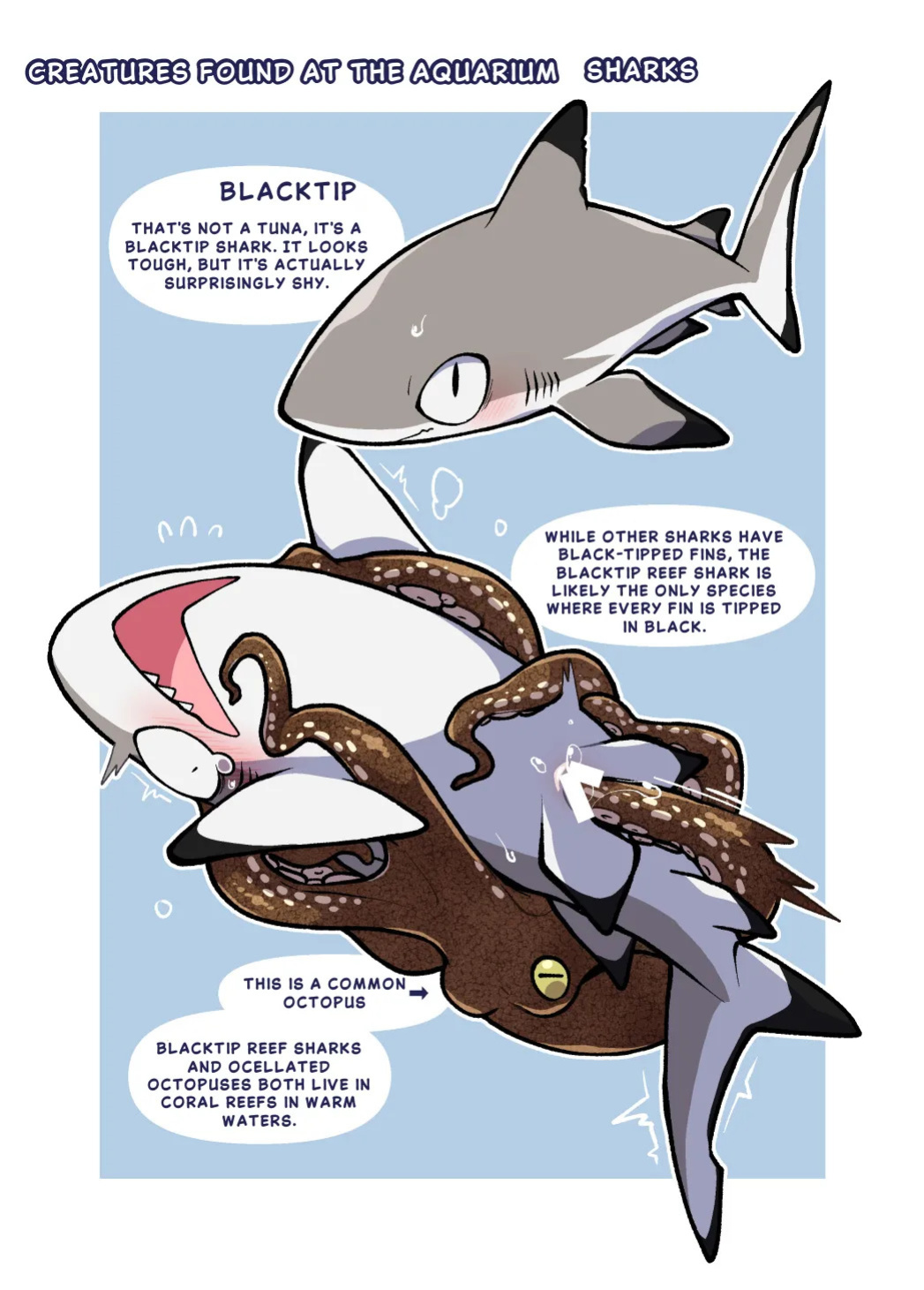 [Ika Guerrilla (Kageyama)] Dokidoki Suizokukan [English]