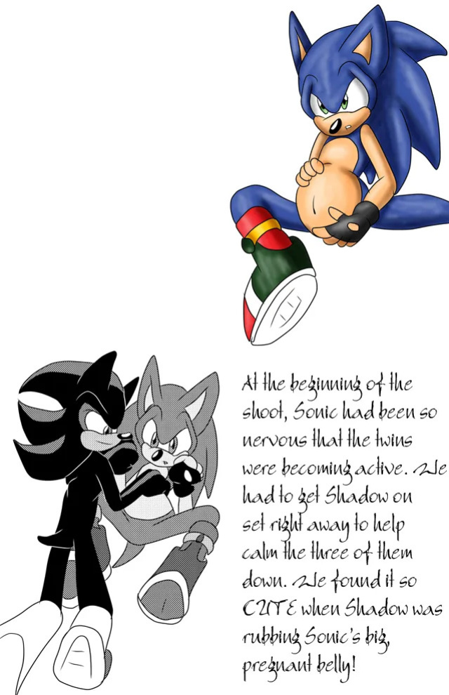 SonicRemix's Sonic Mpreg Art