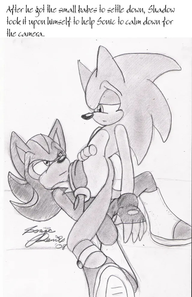 SonicRemix's Sonic Mpreg Art
