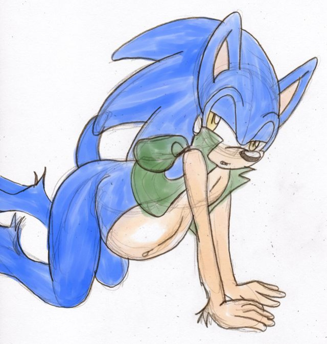 SonicRemix's Sonic Mpreg Art