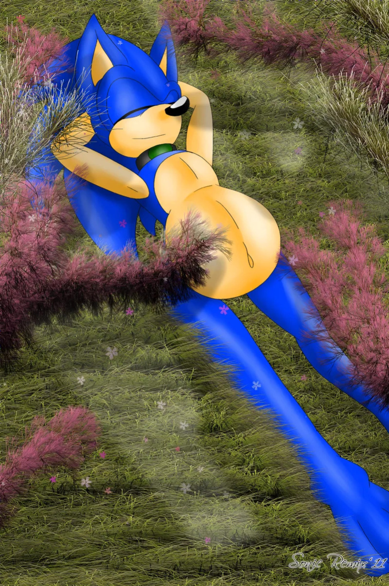 SonicRemix's Sonic Mpreg Art