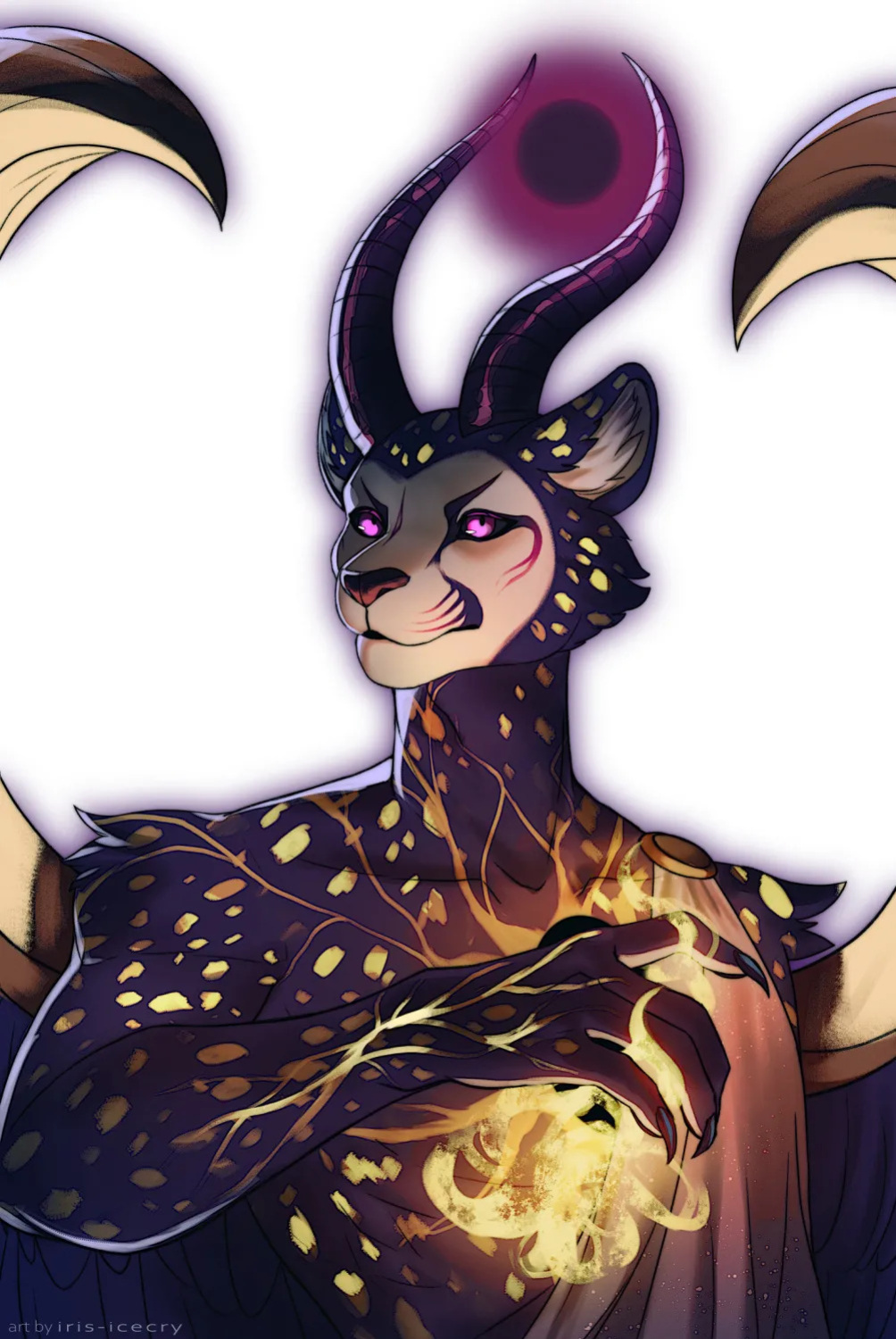 FA Gallery of Iris-Icecry