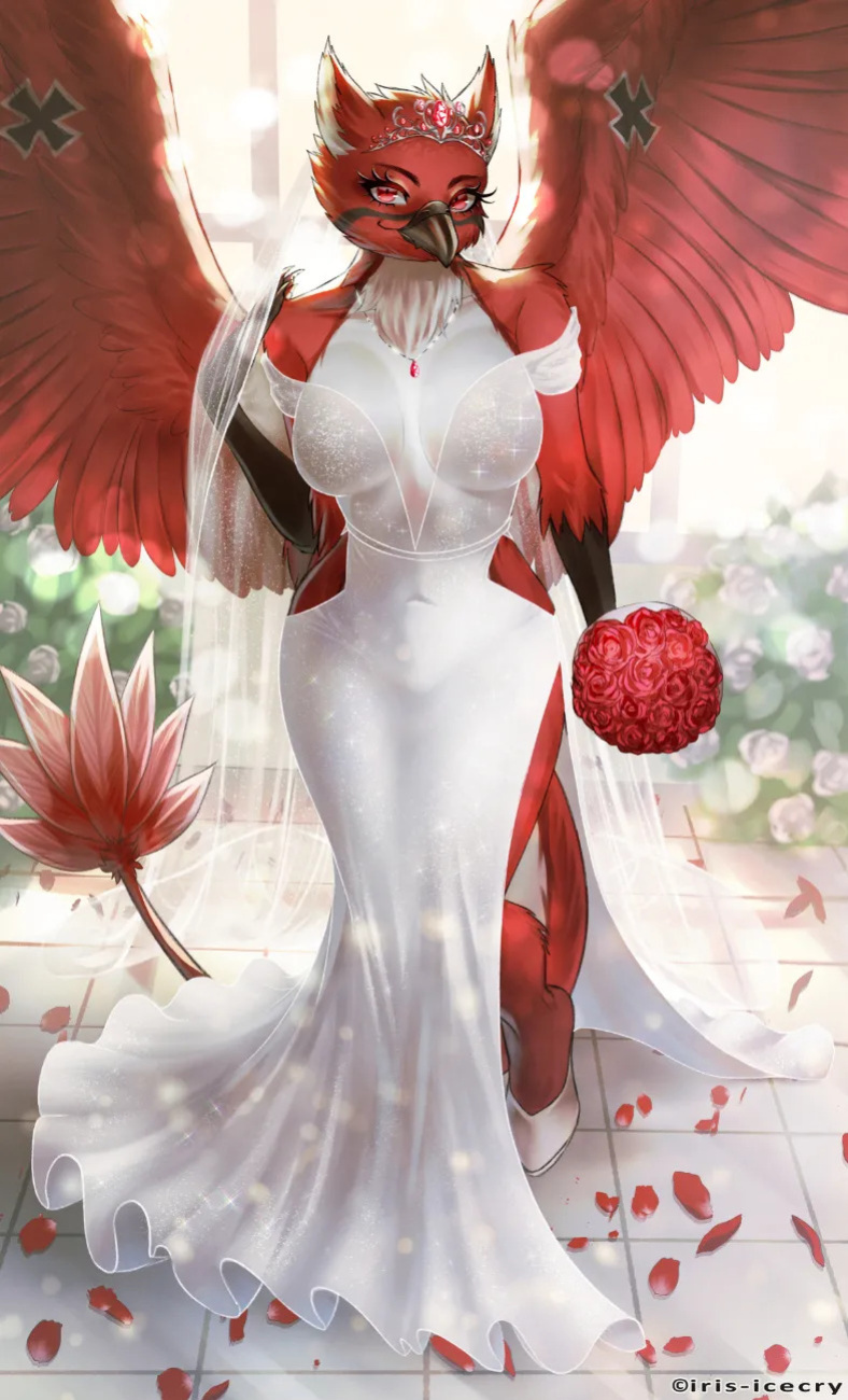 FA Gallery of Iris-Icecry