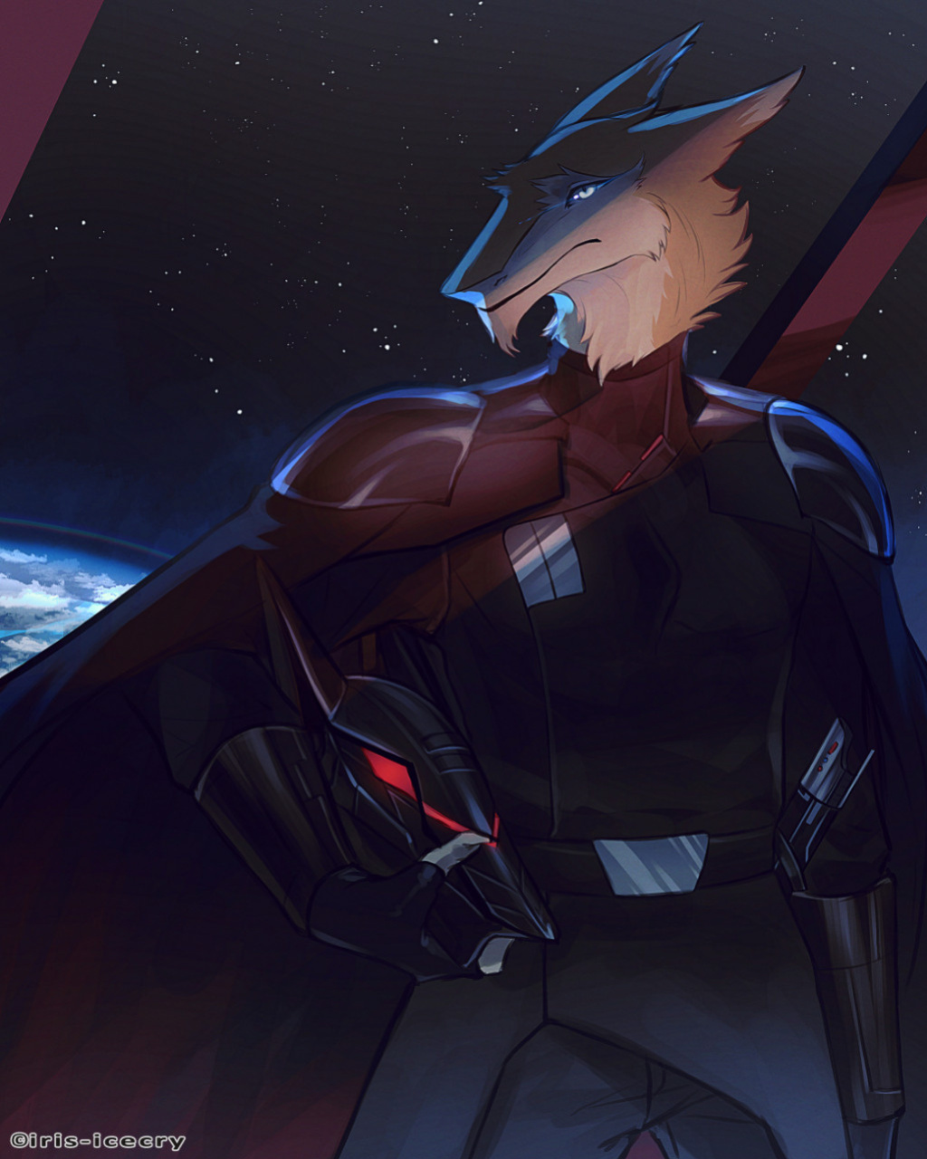 FA Gallery of Iris-Icecry