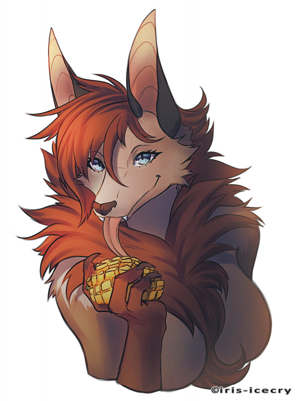 FA Gallery of Iris-Icecry