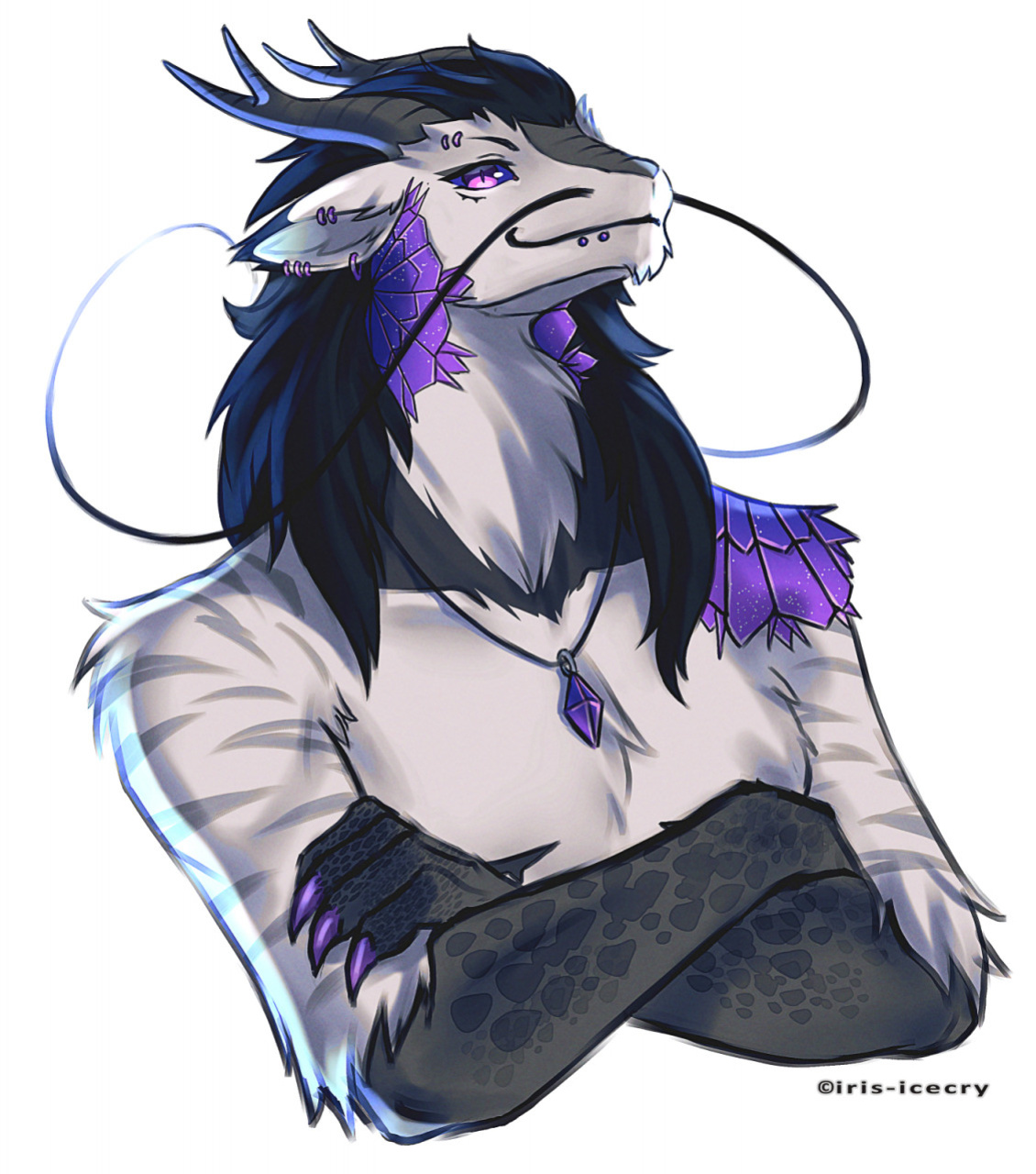 FA Gallery of Iris-Icecry