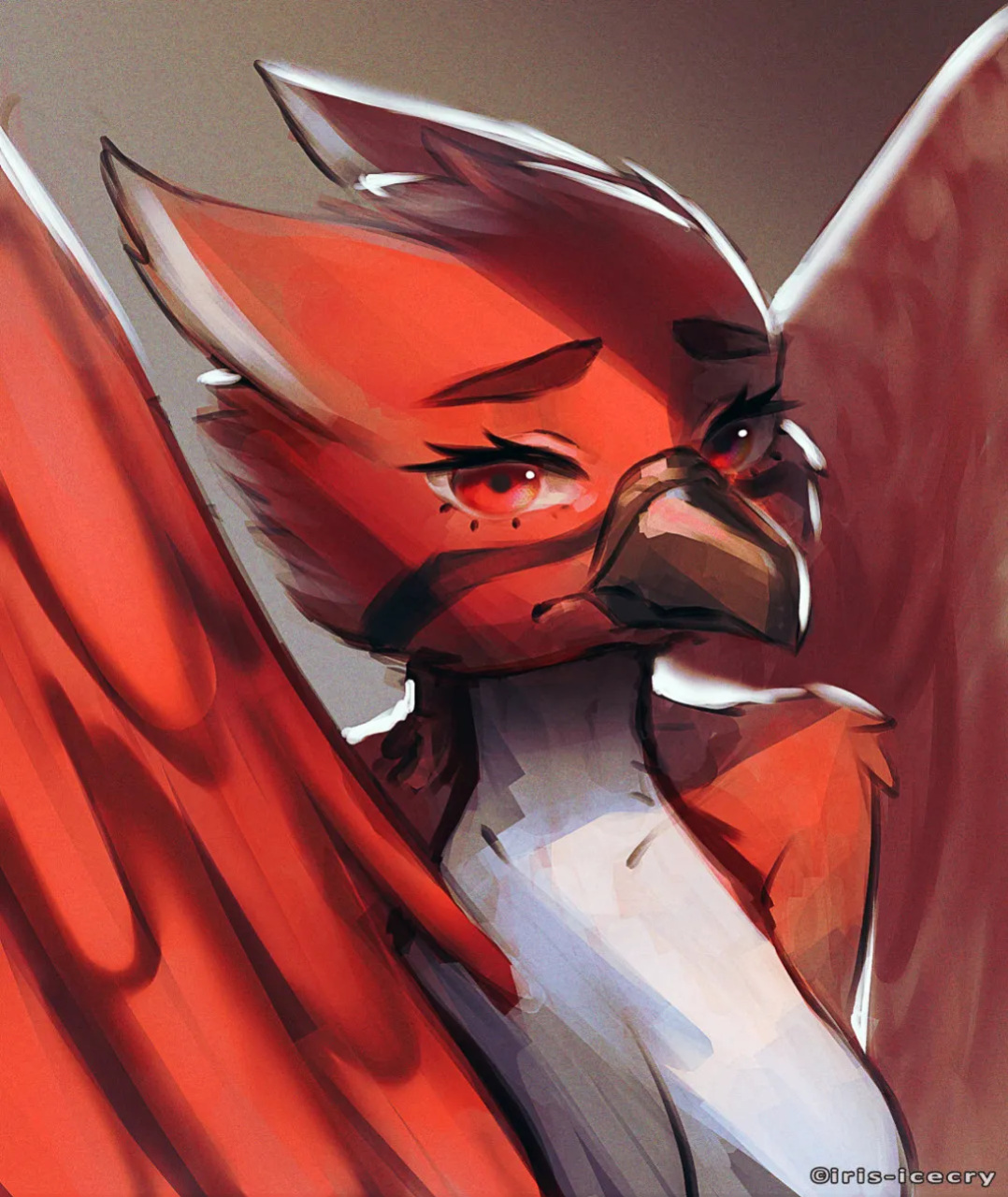 FA Gallery of Iris-Icecry