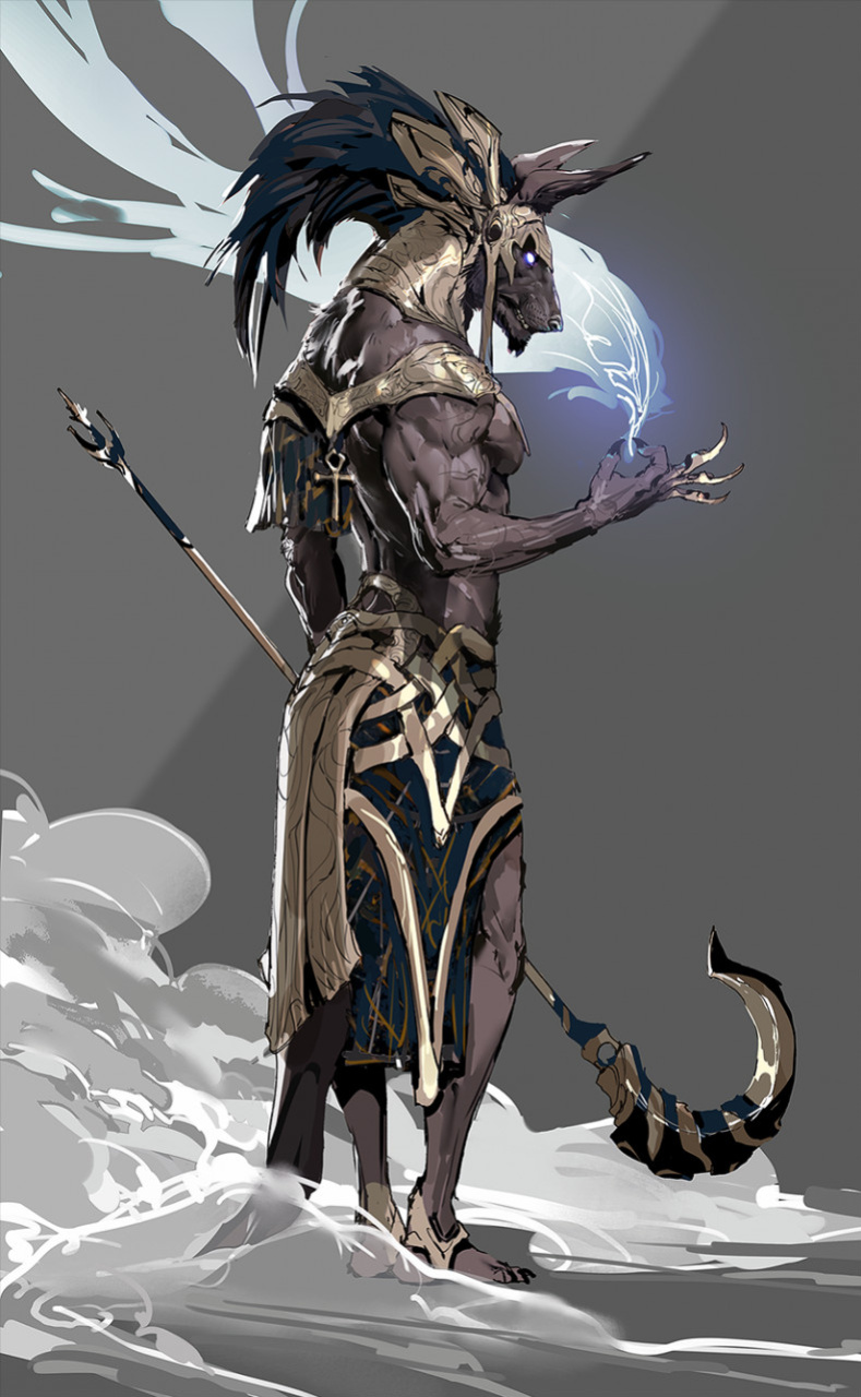 feliscede's FA Gallery